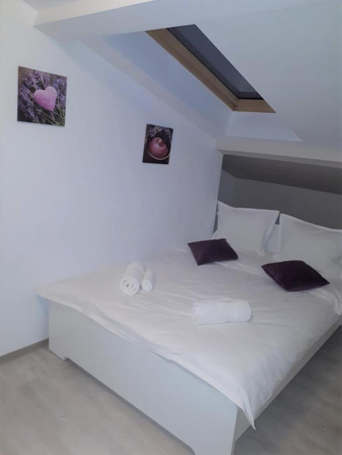 Top Style Villa Bragadiru Εξωτερικό φωτογραφία